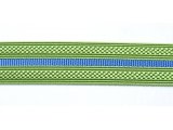 Galon militaire vert bleu