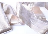 Galon lamé argent 6 cm