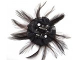 Broche fantaisie motif plumes/tulle pins