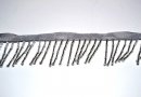 Beads Fringe